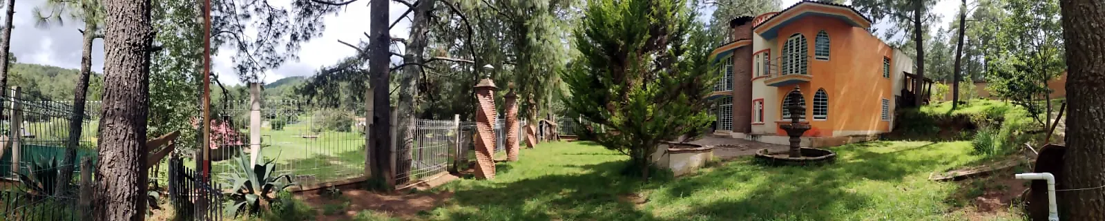 Panorámica del jardín y la casa entre pinos