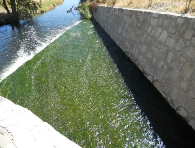 Agua tratada corriendo por el cauce del río